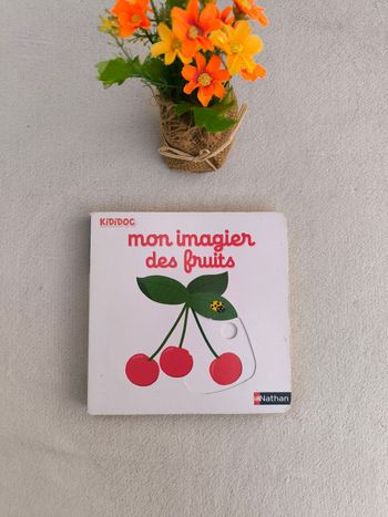 Livre Kididoc Mon imagier des fruits Nathan