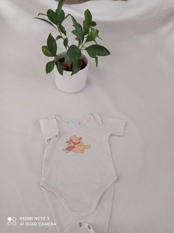 Body 3mois Winnie l'ourson