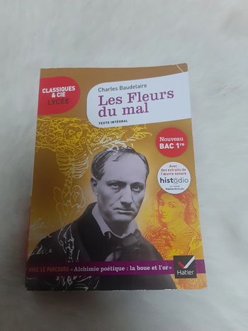 Les fleurs du mal