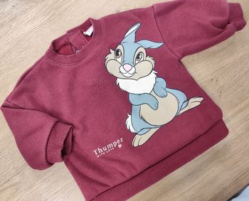 Pull 12 mois