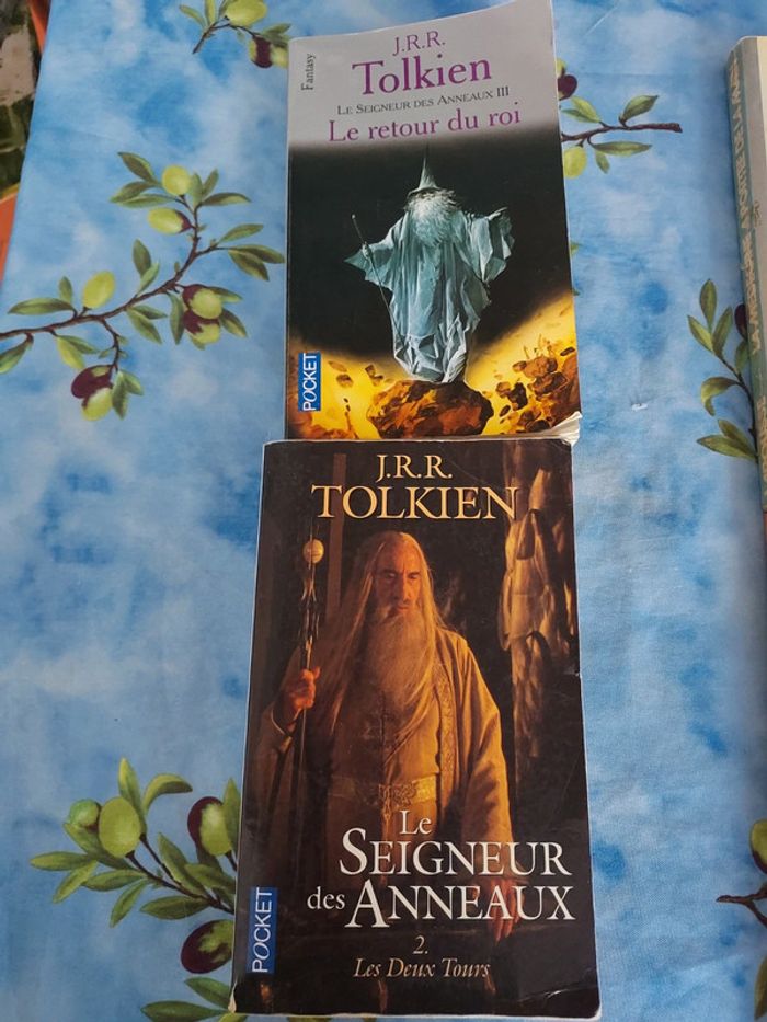 Lot de 2 livre Le seigneur des anneaux