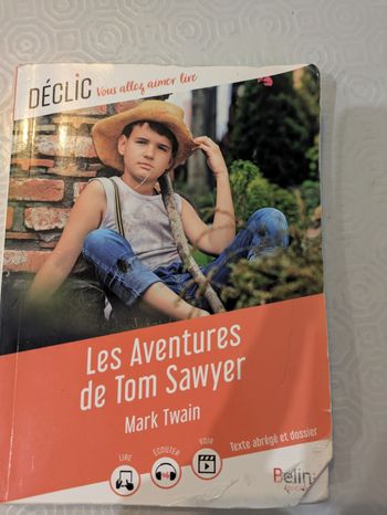 Les histoires de ton Sawyer