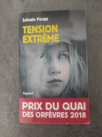 Tension extrême Sylvain Forge Fayard 2017