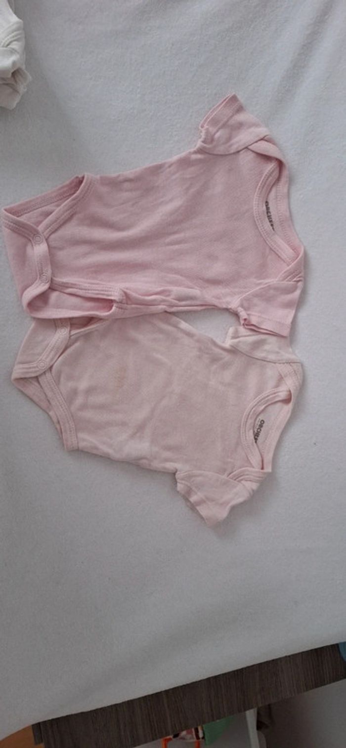 Lot bodies manches courtes - photo numéro 3