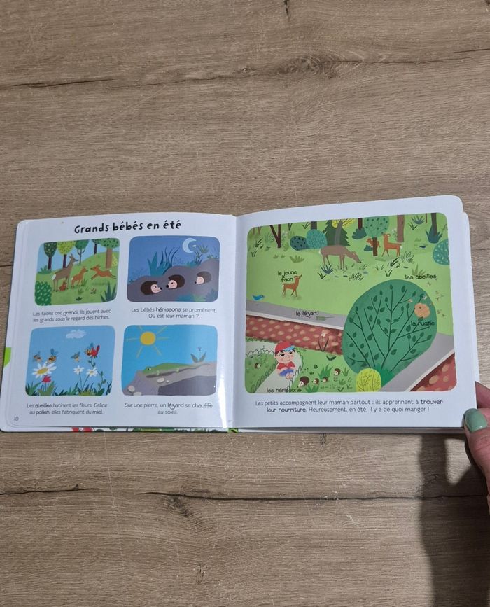 Livre Les saisons - photo numéro 5