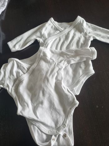 Lot 2 bodies
