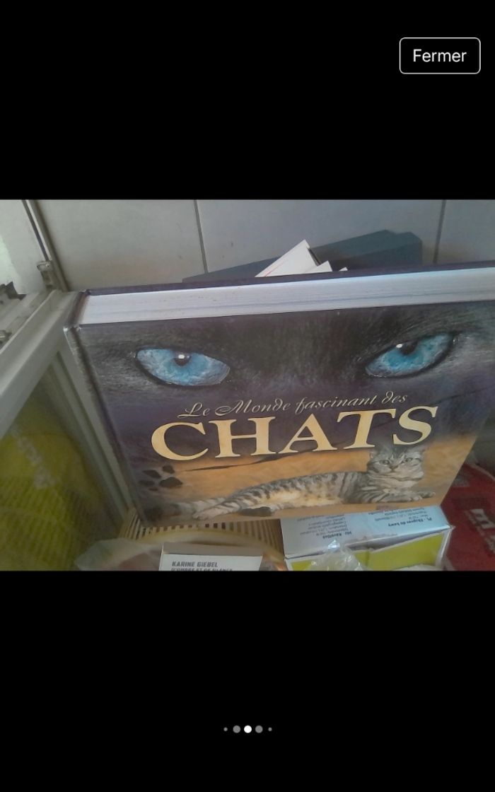 Le monde fascinant des chats - photo numéro 5