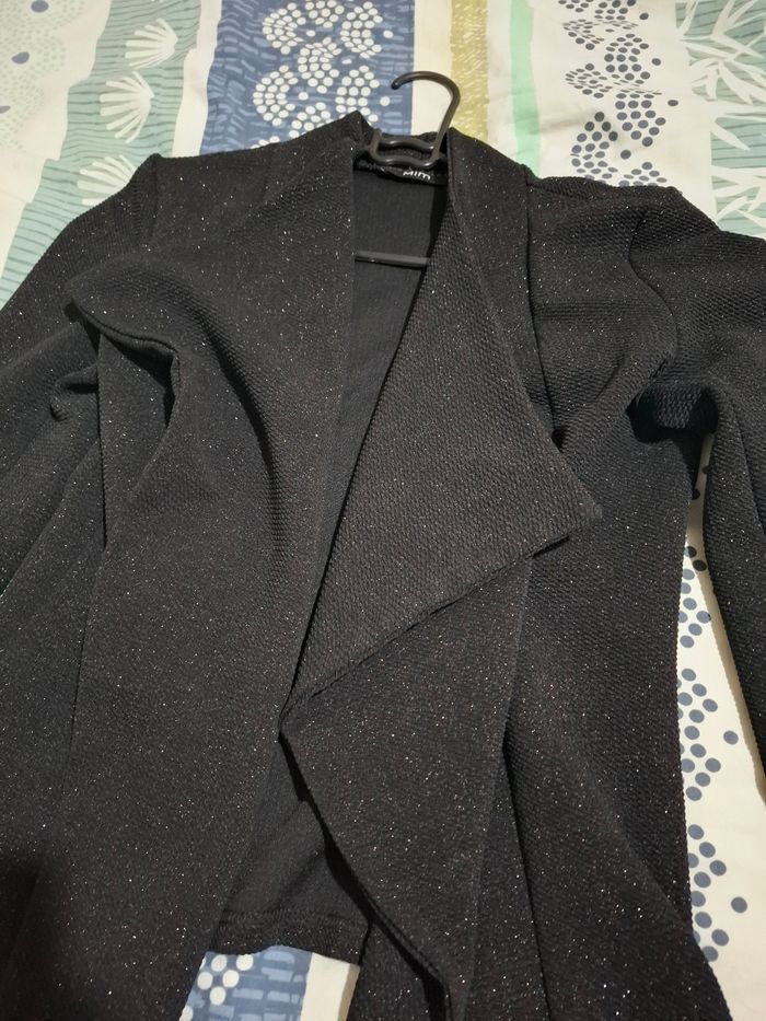 Blazer - photo numéro 3