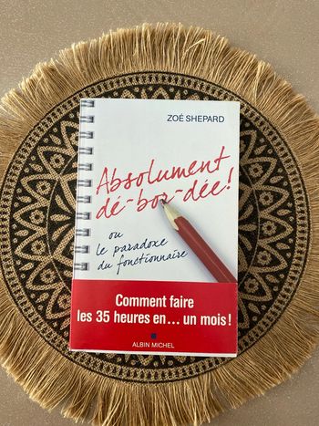 Livre Absolument débordée