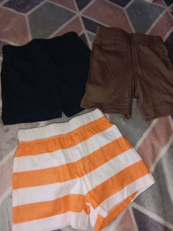 Lot 3 shorts
