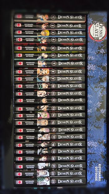 Coffret Intégrale Demon Slayer 