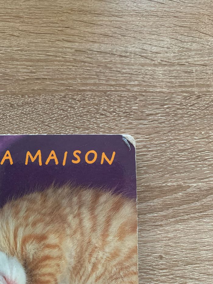 Les animinis à la maison - photo numéro 4