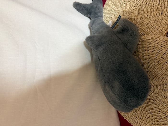 Grand requin - Tout autour du monde - photo numéro 5