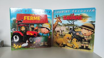 Lot de 2 livres "Joue et découvre : La savane, La ferme", Edition Fleurus