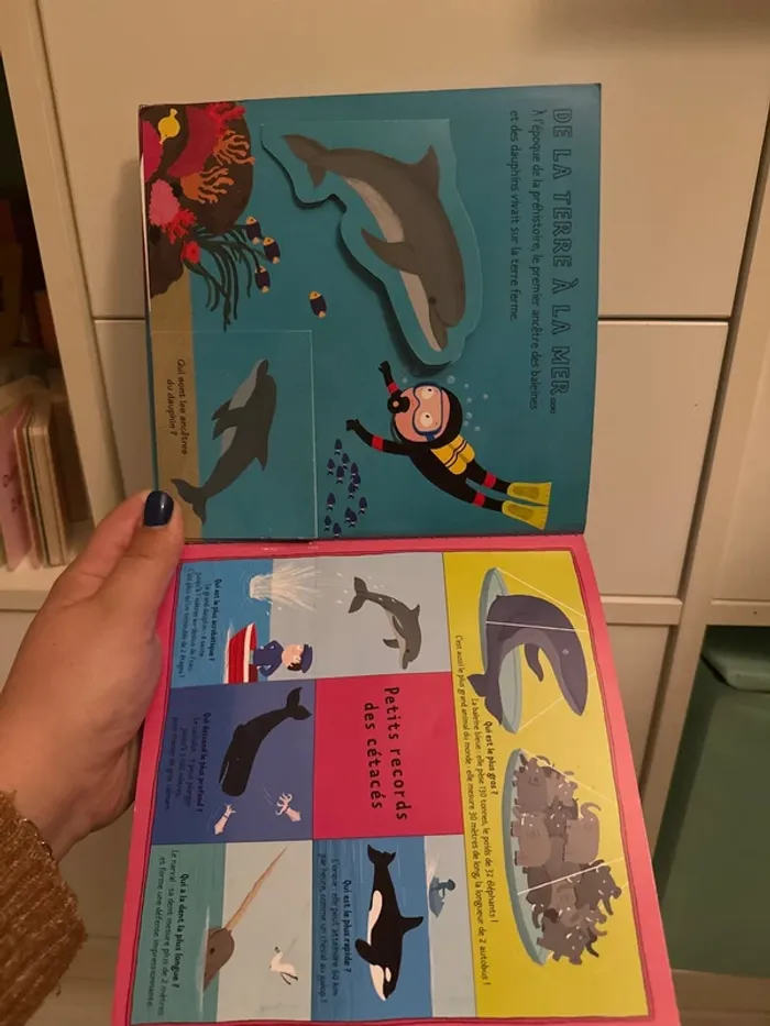 Kididoc livre sur les dauphins et baleines - photo numéro 2