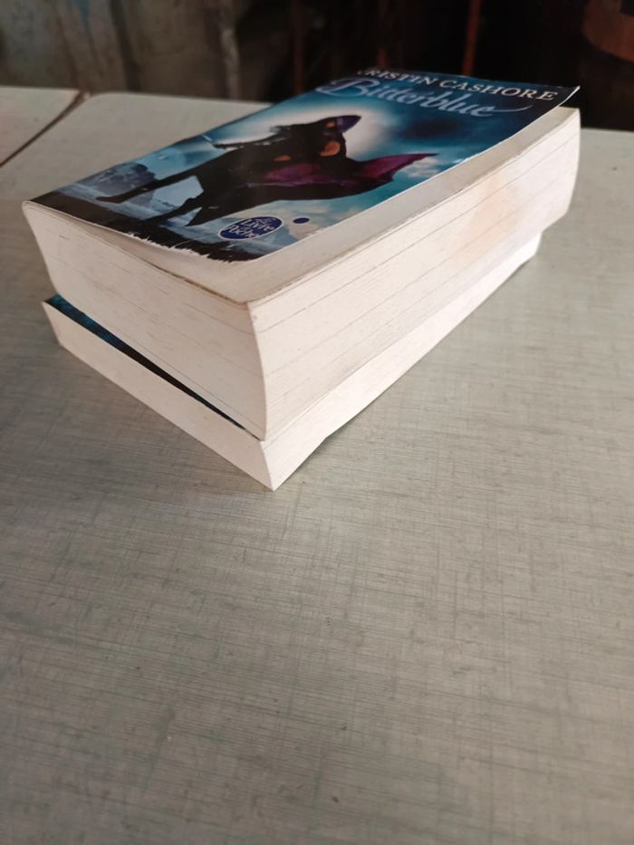 Lot 2 livres graceling et bitterblue - photo numéro 3