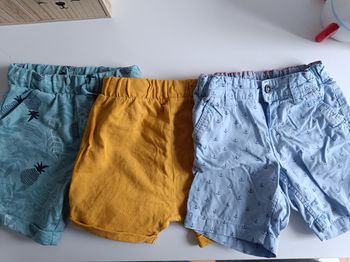 Lot 3 shorts