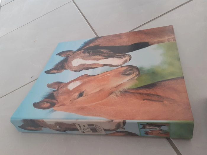 Lot classeurs pochettes rigides chevaux chiens - photo numéro 4