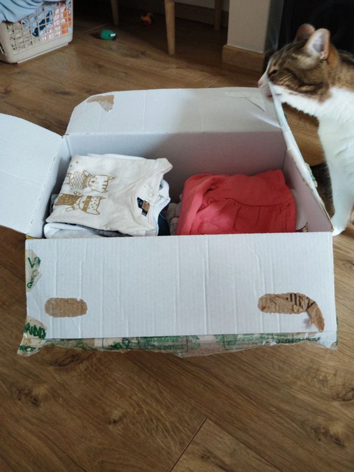 Carton complet 6 mois