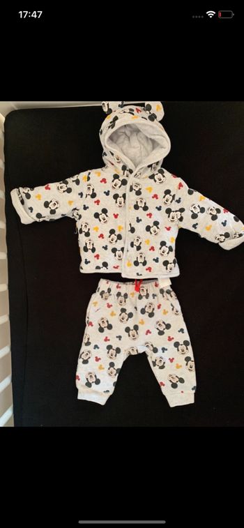 Ensemble Mickey