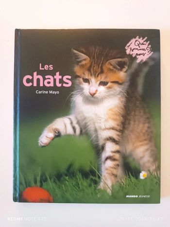 Les chats