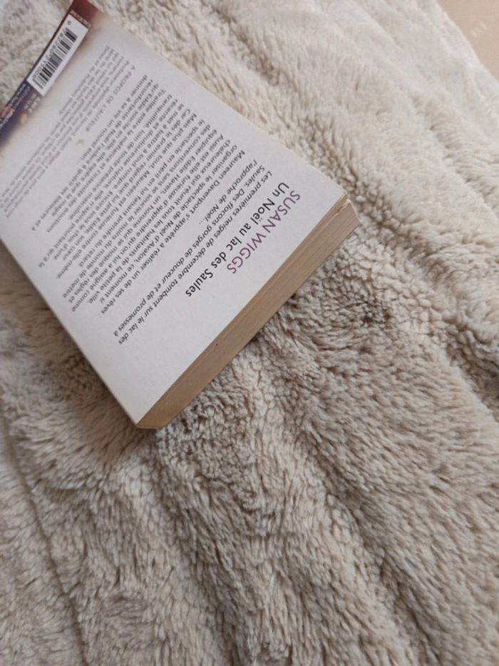 Un Noël au lac des saules - photo numéro 4