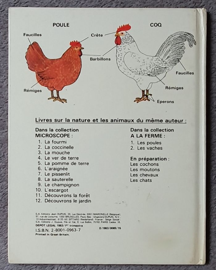 Livre cartonné pour enfants "Les Poules" (3-5 ans) / Gunilla Ingves aux Éd. Dupuis - photo numéro 2