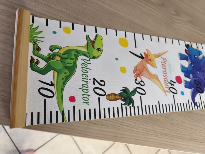 Toise Dinosaures - photo numéro 3