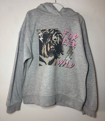 Sweat capuche gris /