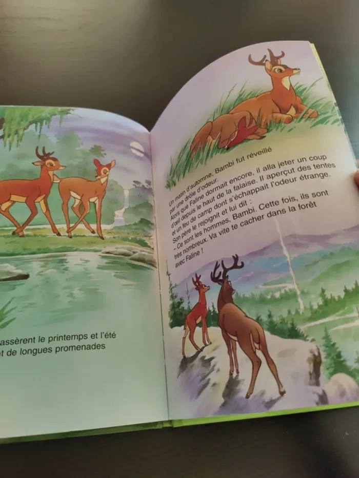 Livre Bambi - photo numéro 8