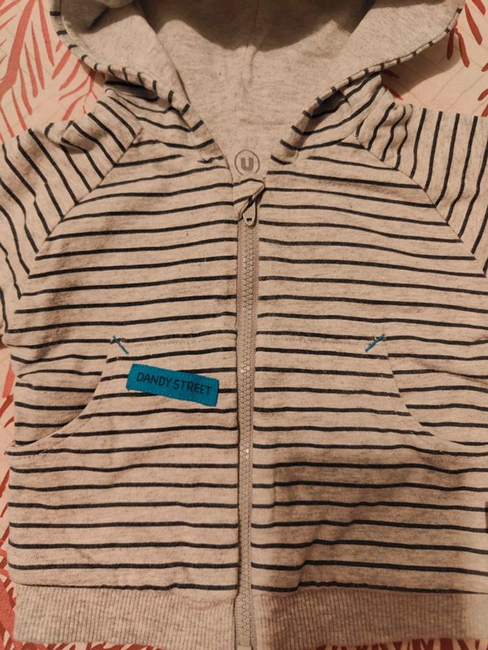 Gilet gris - photo numéro 2