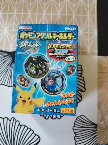 Porte clé pokémon
