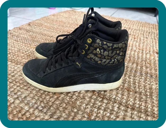 Basket puma