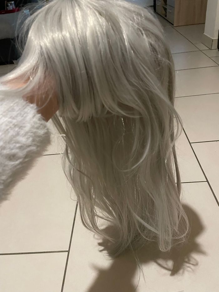 Perruque grise - photo numéro 4