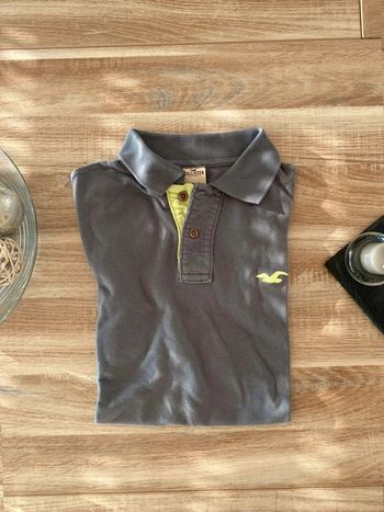 Polo Hollister