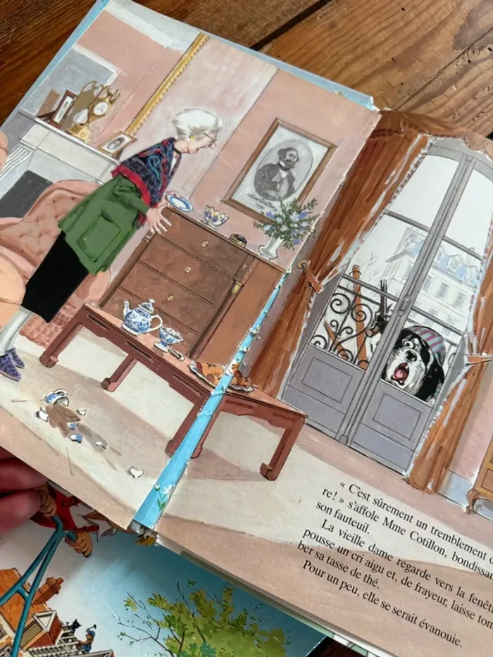 État moyen - Blanc vintage - Lot de 18 livres bd albums Caroline Pierre Probst - photo numéro 9