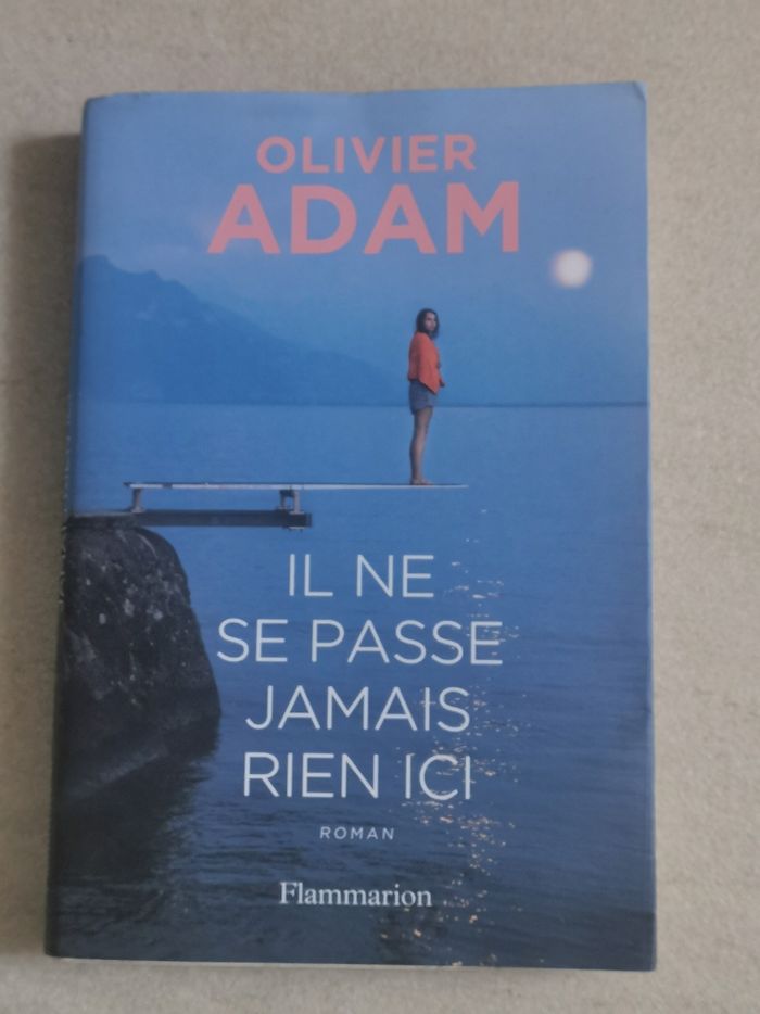 Lot de 5 romans d'Olivier Adam - photo numéro 5
