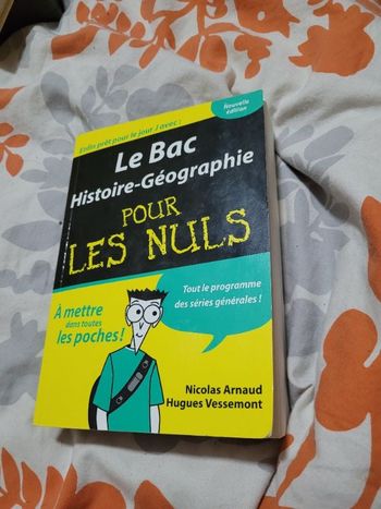 Le bac histoire géographie pour les nuls