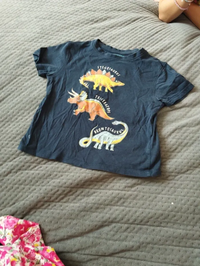 Tee shirt dinosaures