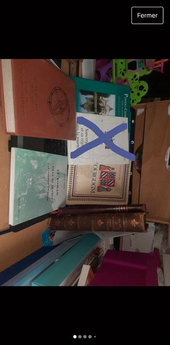 Lotde 6 livres géographie et voyage en france p o