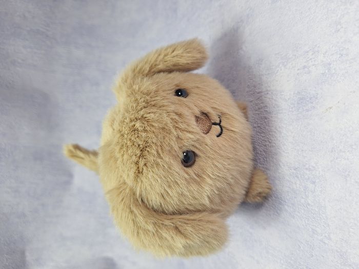 Peluche Jellycat chiot retired Caboodle Puppy CAB3PP