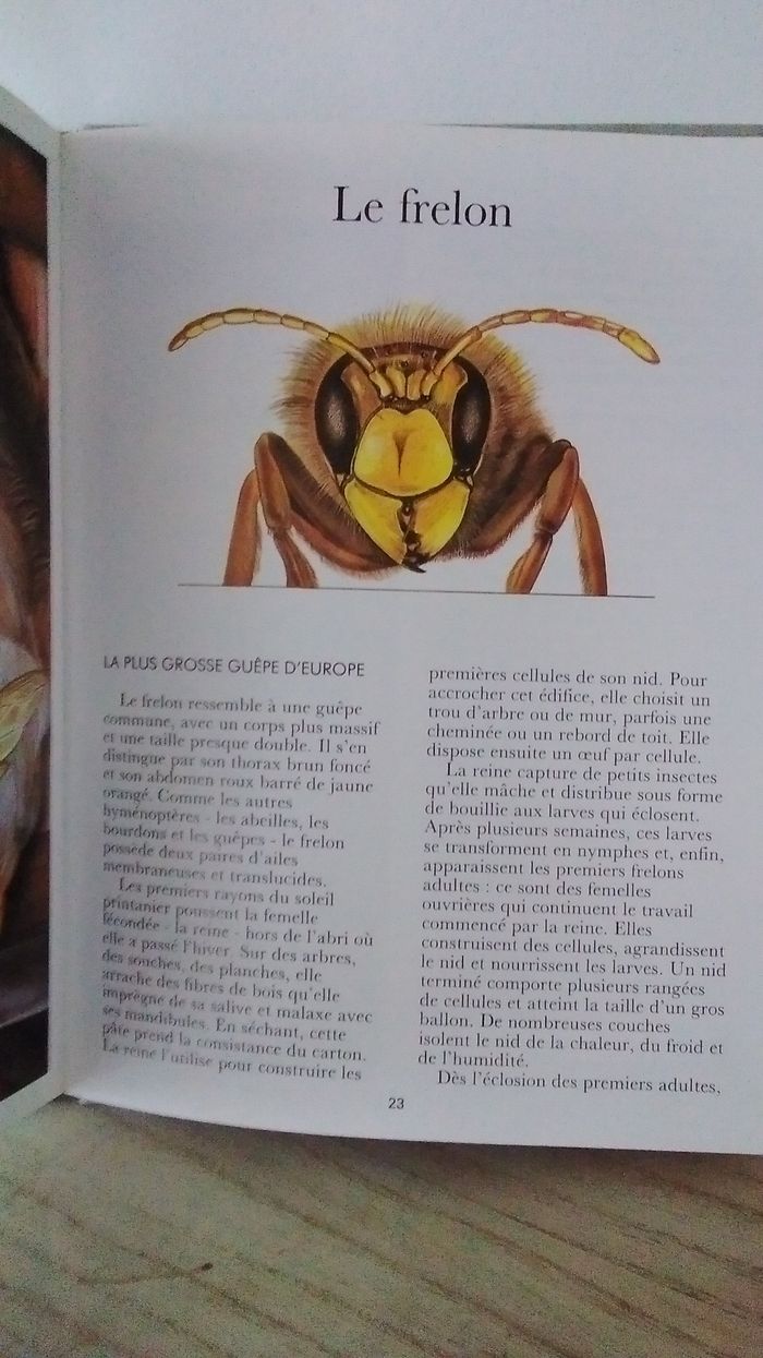 Livre animaux qui piquent - photo numéro 2