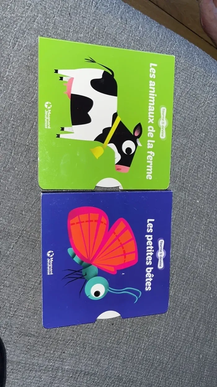 Lot 2 livres enfant