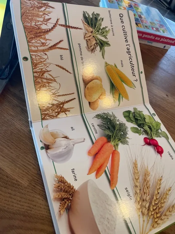 Livre cartonné Regarde et apprends ! La ferme - photo numéro 7