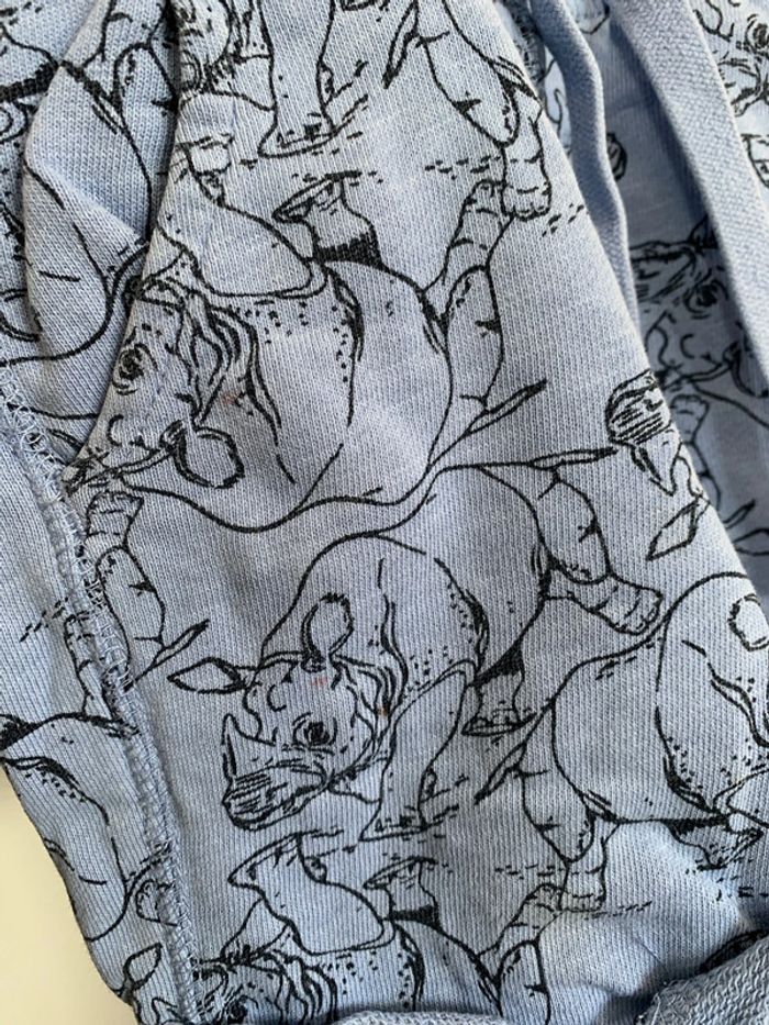 Short animaux - photo numéro 4