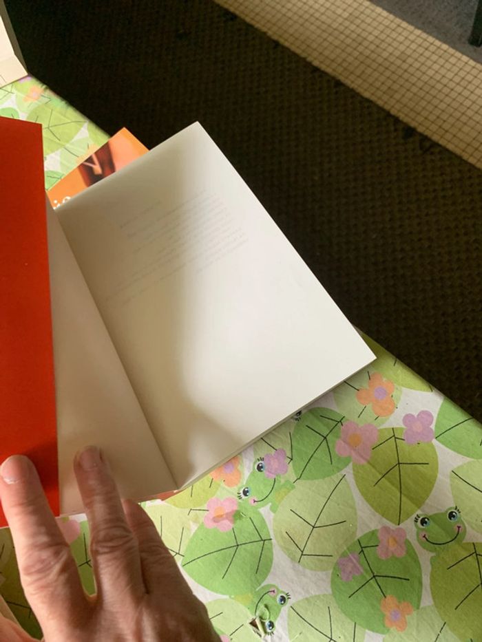 Lot romans - photo numéro 13