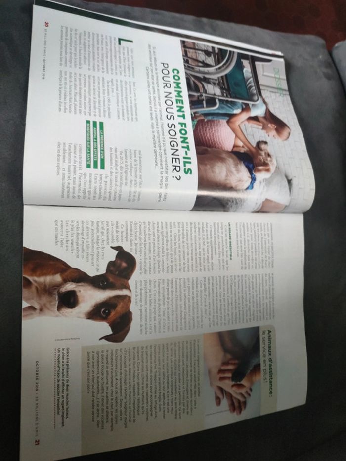 Magazine 30 millions d'amis numéro 377 octobre 2019 - photo numéro 5