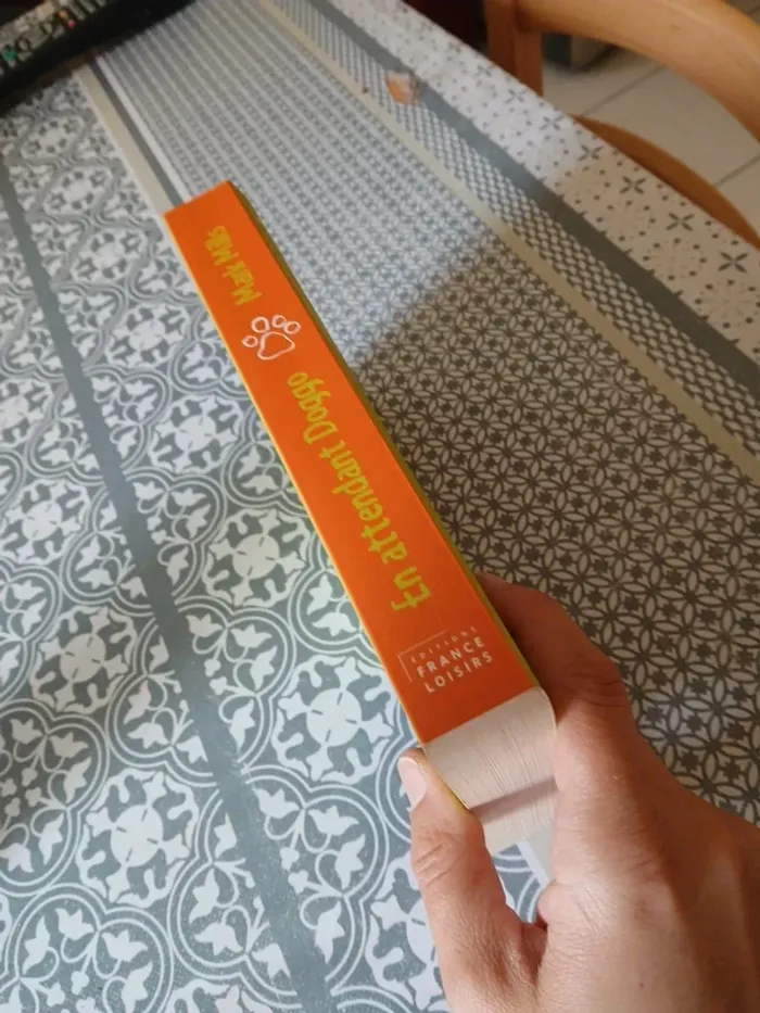 Roman - En attendant Doggo - photo numéro 3