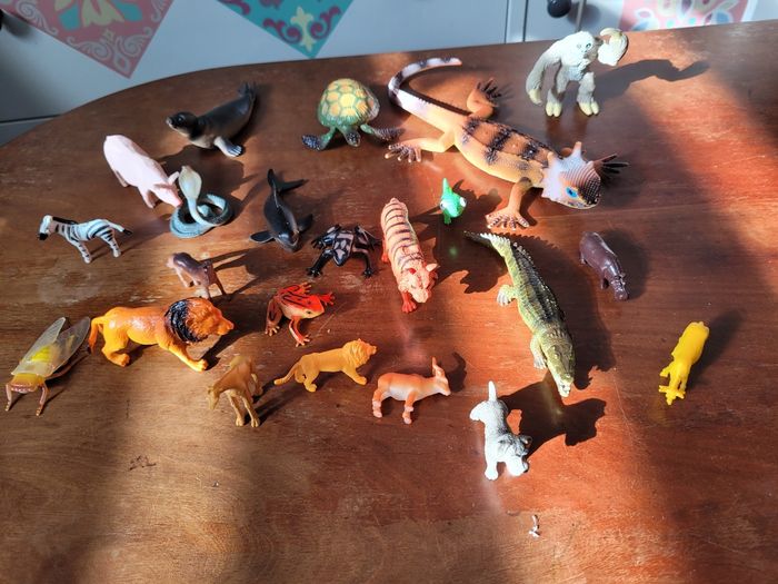 lots de petits animaux  (5e) - photo numéro 2