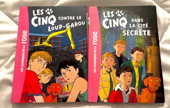 Lots de 2 livre pour enfants ado - photo numéro 2